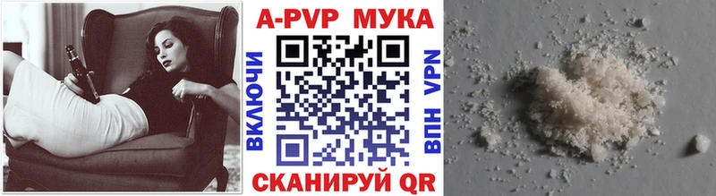 дарк нет телеграм  Томари  Альфа ПВП СК КРИС 