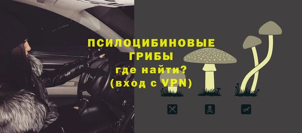 спайс Алексин