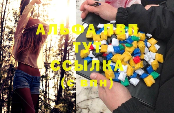 бошки Алзамай